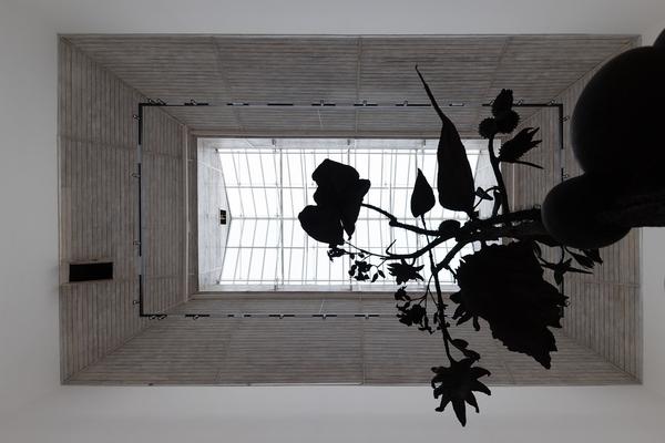 Paradise (The Hall - PART International Art Residency Austria, 7.9. - 28.9.2025) Foto: eSeL.at - Lorenz Seidler