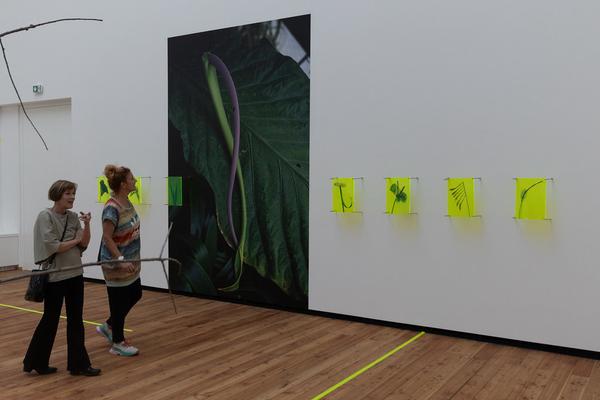 Paradise (The Hall - PART International Art Residency Austria, 7.9. - 28.9.2025) Foto: eSeL.at - Lorenz Seidler