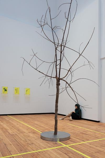 Paradise (The Hall - PART International Art Residency Austria, 7.9. - 28.9.2025) Foto: eSeL.at - Lorenz Seidler