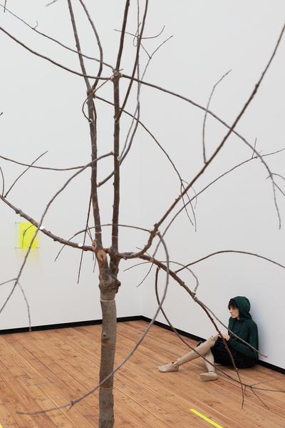 Paradise (The Hall - PART International Art Residency Austria, 7.9. - 28.9.2025) Foto: eSeL.at - Lorenz Seidler