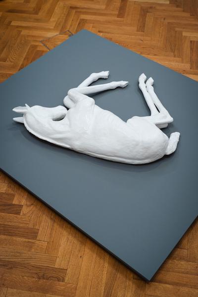 perhaps elsewhere (Akademie der bildenden Künste / Exhibit Studio, 05.11. - 14.12.2025) Foto: eSeL.at - Robert Puteanu