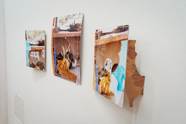 perhaps elsewhere (Akademie der bildenden Künste / Exhibit Studio, 05.11. - 14.12.2025) Foto: eSeL.at - Robert Puteanu