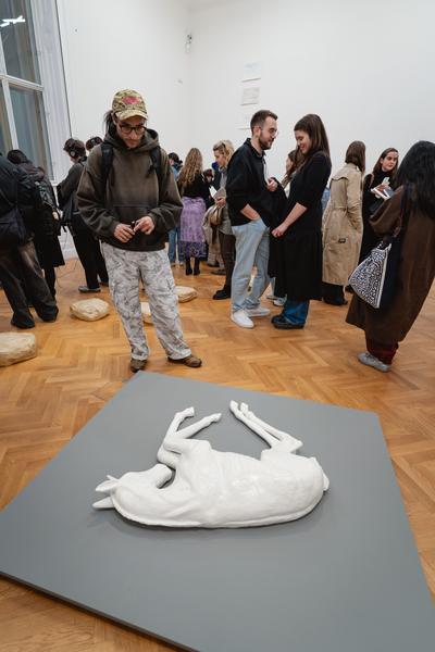 perhaps elsewhere (Akademie der bildenden Künste / Exhibit Studio, 05.11. - 14.12.2025) Foto: eSeL.at - Robert Puteanu