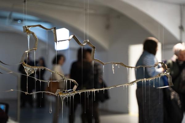 piercing through (das weisse haus, 08.11.2025 - 24.01.2026) Foto: eSeL.at - Sarah Tasha