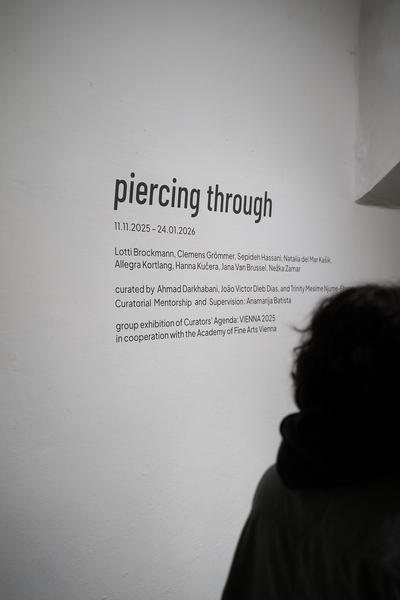 piercing through (das weisse haus, 08.11.2025 - 24.01.2026) Foto: eSeL.at - Sarah Tasha