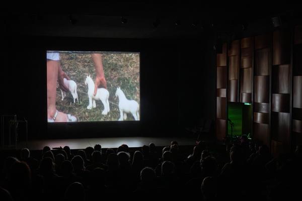 Public Program: Feminist Art Production (Belvedere 21, 2.12.2025) Foto: eSeL.at - Lorenz Seidler