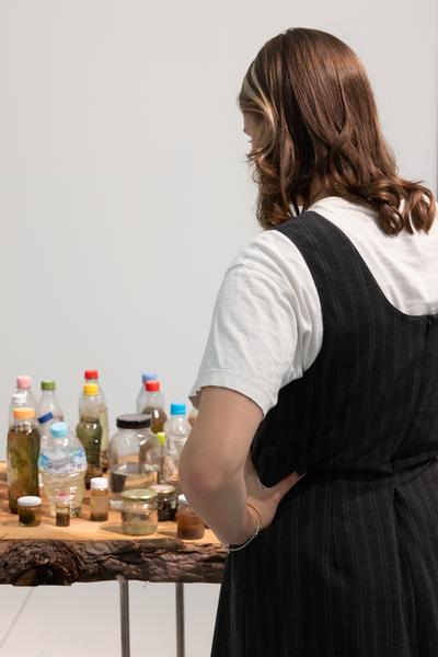 Ralo Mayer &quot;47 Stoffe&quot; (Landesgalerie Burgenland, 25.10.2025 - 25.1.2026) Foto: eSeL.at - Lorenz Seidler