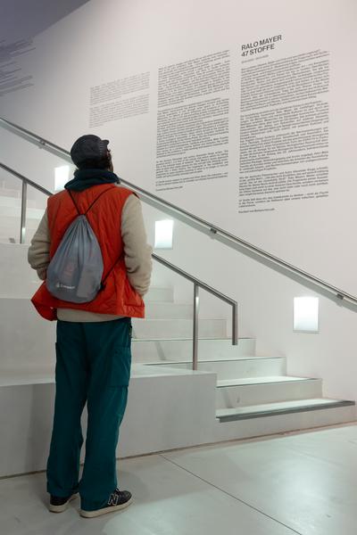 Ralo Mayer &quot;47 Stoffe&quot; (Landesgalerie Burgenland, 25.10.2025 - 25.1.2026) Foto: eSeL.at - Lorenz Seidler