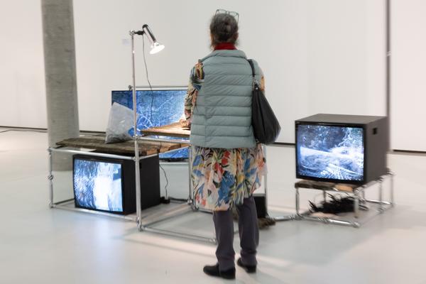 Ralo Mayer &quot;47 Stoffe&quot; (Landesgalerie Burgenland, 25.10.2025 - 25.1.2026) Foto: eSeL.at - Lorenz Seidler