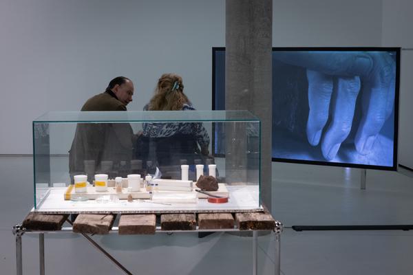 Ralo Mayer &quot;47 Stoffe&quot; (Landesgalerie Burgenland, 25.10.2025 - 25.1.2026) Foto: eSeL.at - Lorenz Seidler