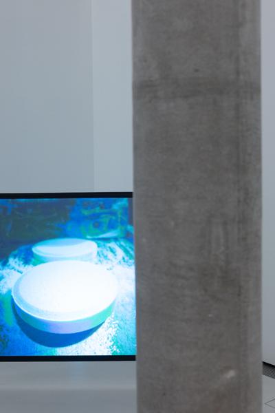 Ralo Mayer &quot;47 Stoffe&quot; (Landesgalerie Burgenland, 25.10.2025 - 25.1.2026) Foto: eSeL.at - Lorenz Seidler