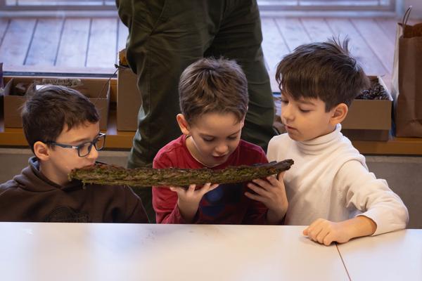 ReGenerativa: Herwig Turk &quot;Wasser&quot; (Kinder Kunst Labor, 19.11.2025) Foto: eSeL.at - Lorenz Seidler