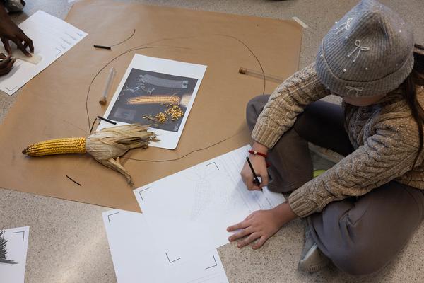 ReGenerativa: Ronja Grossar &quot;Kreisläufe&quot;  (Kinder Kunst Labor, 19.11.2025) Foto: eSeL.at - Lorenz Seidler