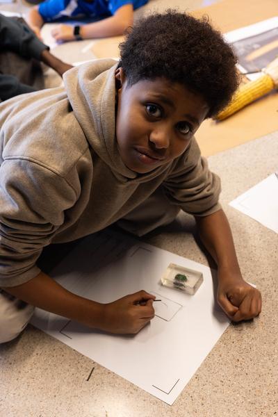 ReGenerativa: Ronja Grossar &quot;Kreisläufe&quot;  (Kinder Kunst Labor, 19.11.2025) Foto: eSeL.at - Lorenz Seidler