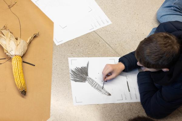 ReGenerativa: Ronja Grossar &quot;Kreisläufe&quot;  (Kinder Kunst Labor, 19.11.2025) Foto: eSeL.at - Lorenz Seidler