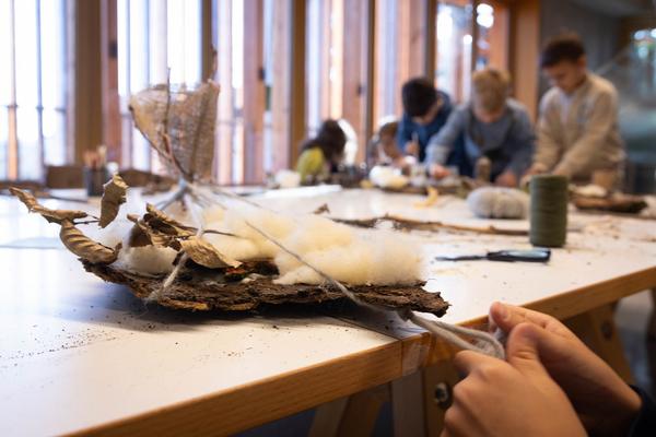 ReGenerativa: Herwig Turk &quot;Wasser&quot; (Kinder Kunst Labor, 19.11.2025) Foto: eSeL.at - Lorenz Seidler