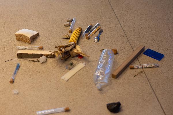 ReGenerativa: Ronja Grossar &quot;Kreisläufe&quot;  (Kinder Kunst Labor, 19.11.2025) Foto: eSeL.at - Lorenz Seidler