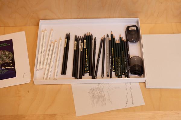 ReGenerativa: Andreas Hoffer &quot;Wald/Holz&quot; (Kinder Kunst Labor, 19.11.2025) Foto: eSeL.at - Lorenz Seidler