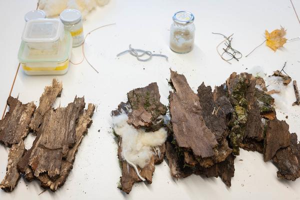 ReGenerativa: Herwig Turk &quot;Wasser&quot; (Kinder Kunst Labor, 19.11.2025) Foto: eSeL.at - Lorenz Seidler