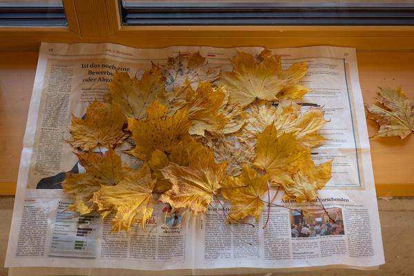 ReGenerativa: Herwig Turk &quot;Wasser&quot; (Kinder Kunst Labor, 19.11.2025) Foto: eSeL.at - Lorenz Seidler