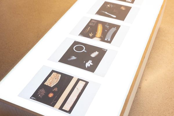 ReGenerativa: Ronja Grossar &quot;Kreisläufe&quot;  (Kinder Kunst Labor, 19.11.2025) Foto: eSeL.at - Lorenz Seidler