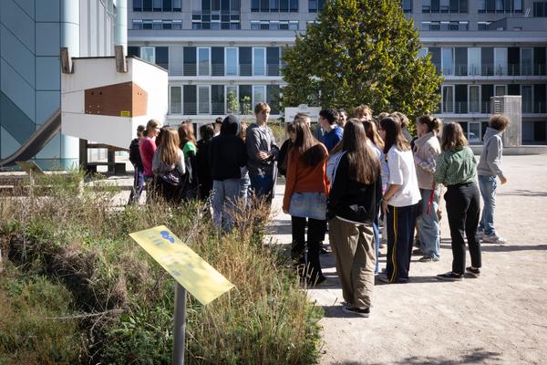 ReGenerativa: "UND - United Nature Democracy" Mutige Zukunftserzählungen für 2040–2100 (Museum Niederösterreich - Museumsgarten, St. Pölten, 9.10.2026 – 16.5.2027) Foto: eSeL.at - Lorenz Seidler