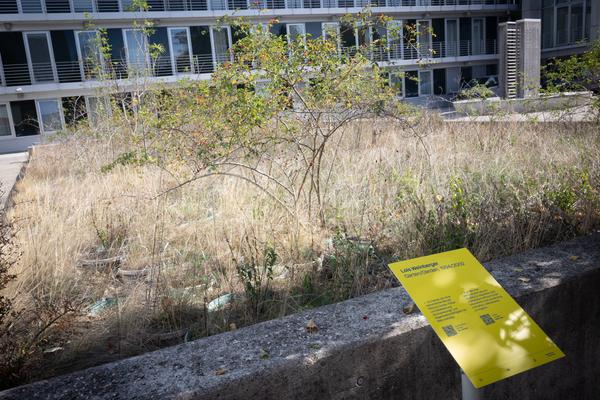ReGenerativa: "UND - United Nature Democracy" Mutige Zukunftserzählungen für 2040–2100 (Museum Niederösterreich - Museumsgarten, St. Pölten, 9.10.2026 – 16.5.2027) Foto: eSeL.at - Lorenz Seidler