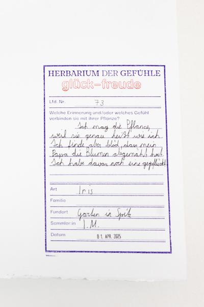 Regula Dettwiler &quot;Unvergesslich&quot; (Landesgalerie Niederösterreich, 24.5.2025 - 3.3.2026) Foto: eSeL.at - Lorenz Seidler