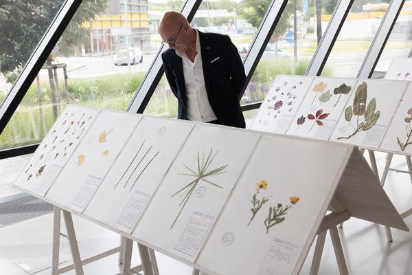 Regula Dettwiler "Unvergesslich" (Landesgalerie Niederösterreich, 24.5.2025 - 3.3.2026) Foto: eSeL.at - Lorenz Seidler