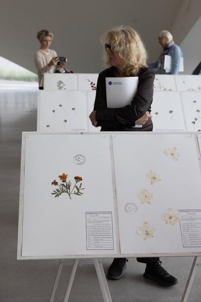 Regula Dettwiler "Unvergesslich" (Landesgalerie Niederösterreich, 24.5.2025 - 3.3.2026) Foto: eSeL.at - Lorenz Seidler