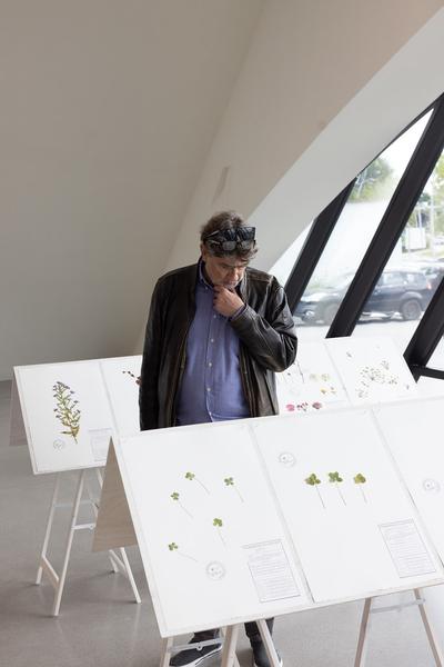 Regula Dettwiler "Unvergesslich" (Landesgalerie Niederösterreich, 24.5.2025 - 3.3.2026) Foto: eSeL.at - Lorenz Seidler