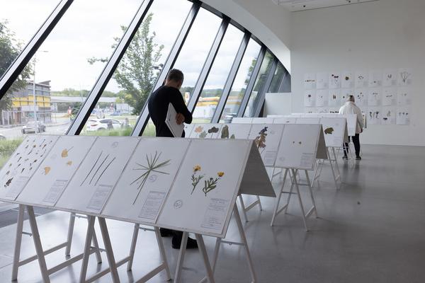 Regula Dettwiler "Unvergesslich" (Landesgalerie Niederösterreich, 24.5.2025 - 3.3.2026) Foto: eSeL.at - Lorenz Seidler