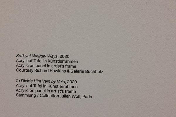 Richard Hawkins &quot;Potentialities&quot; (Kunsthalle Wien, 26.11.2025 – 6.4.2026) Foto: eSeL.at - Lorenz Seidler