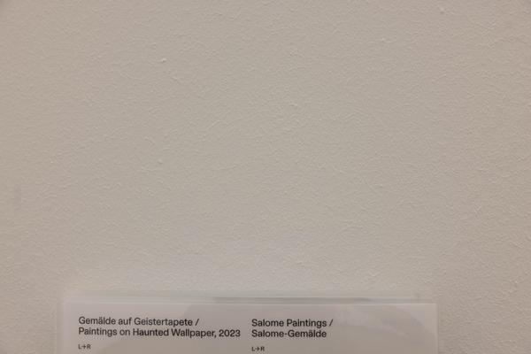 Richard Hawkins &quot;Potentialities&quot; (Kunsthalle Wien, 26.11.2025 – 6.4.2026) Foto: eSeL.at - Lorenz Seidler