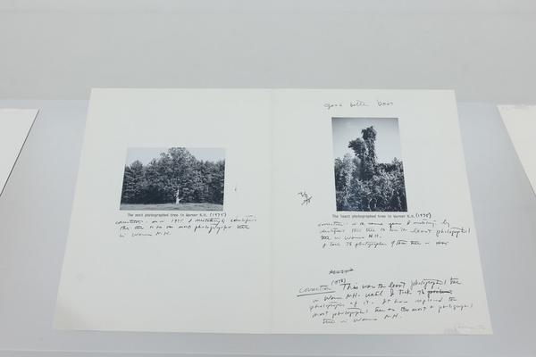 Richard Prince (Albertina, 17.4. - 16.8.2026) Foto: eSeL.at - Lorenz Seidler