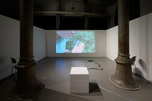 Rundgang 2026 (Akademie der bildenden Künste Wien - Atelierhaus, 22. - 25.01.2026) Foto: eSeL.at - Joanna Pianka