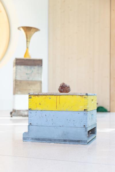 "Bienenstöcke" von Natalia Dominguez Rangel @"Schattenfänger" Robert Gabris, Iva Ivanova, Theodor Moise. Kuratiert von Lorena Moreno Vera (Kinder Kunst Labor St. Pölten, 19.9.2025 - 8.2.2026) Foto: eSeL.at - Lorenz Seidler