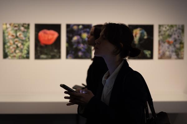 Science/Fiction – A Non-History of Plants (Foto Arsenal Wien, 4.10.2025 - 18.1.2026) Foto: eSeL.at - Lorenz Seidler