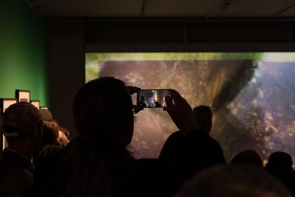 Science/Fiction – A Non-History of Plants (Foto Arsenal Wien, 4.10.2025 - 18.1.2026) Foto: eSeL.at - Lorenz Seidler