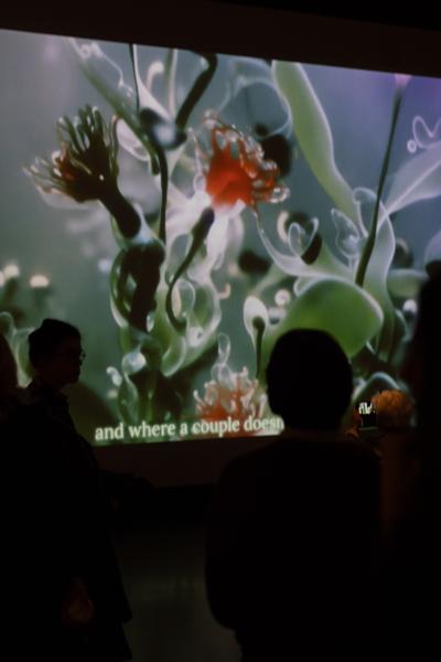 Science/Fiction – A Non-History of Plants (Foto Arsenal Wien, 4.10.2025 - 18.1.2026) Foto: eSeL.at - Lorenz Seidler