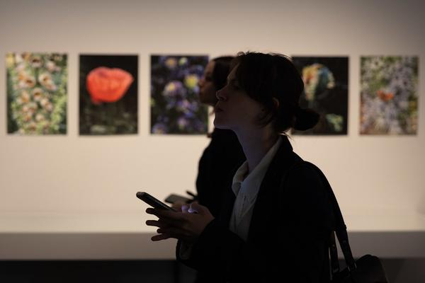 Science/Fiction – A Non-History of Plants (Foto Arsenal Wien, 4.10.2025 - 18.1.2026) Foto: eSeL.at - Lorenz Seidler