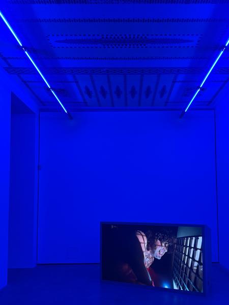 Scott Clifford Evans "Splatterhaus!" (Franz Josefs Kai 3, 18.2. — 10.5.2026) Foto: eSeL.at - Lorenz Seidler