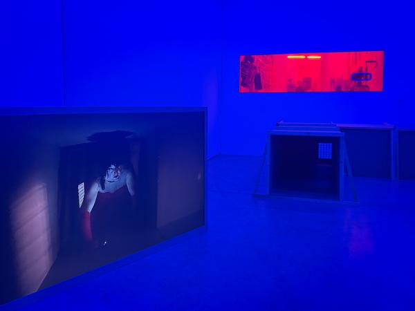 Scott Clifford Evans "Splatterhaus!" (Franz Josefs Kai 3, 18.2. — 10.5.2026) Foto: eSeL.at - Lorenz Seidler