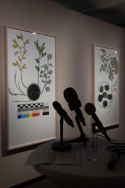 SEEDS. Reclaiming Roots, Sowing Futures (KunstHausWien / Museum Hundertwasser, 10.04.2026 – 14.02.2027) Foto: eSeL.at - Lorenz Seidler