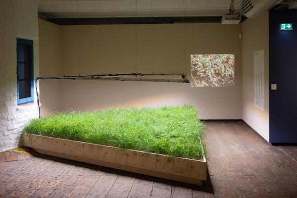 SEEDS. Reclaiming Roots, Sowing Futures (KunstHausWien / Museum Hundertwasser, 10.04.2026 – 14.02.2027) Foto: eSeL.at - Lorenz Seidler