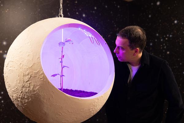 SEEDS. Reclaiming Roots, Sowing Futures (KunstHausWien / Museum Hundertwasser, 10.04.2026 – 14.02.2027) Foto: eSeL.at - Lorenz Seidler