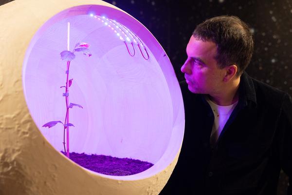 SEEDS. Reclaiming Roots, Sowing Futures (KunstHausWien / Museum Hundertwasser, 10.04.2026 – 14.02.2027) Foto: eSeL.at - Lorenz Seidler