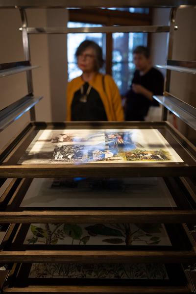 SEEDS. Reclaiming Roots, Sowing Futures (KunstHausWien / Museum Hundertwasser, 10.04.2026 – 14.02.2027) Foto: eSeL.at - Lorenz Seidler