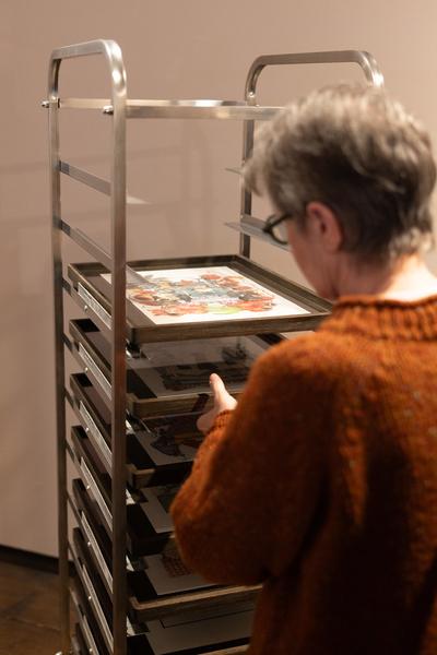 SEEDS. Reclaiming Roots, Sowing Futures (KunstHausWien / Museum Hundertwasser, 10.04.2026 – 14.02.2027) Foto: eSeL.at - Lorenz Seidler