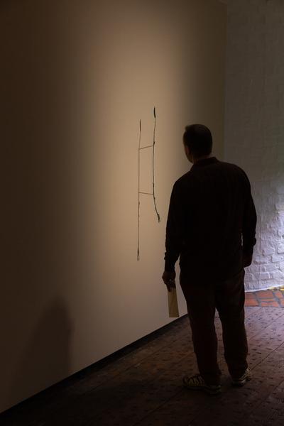 SEEDS. Reclaiming Roots, Sowing Futures (KunstHausWien / Museum Hundertwasser, 10.04.2026 – 14.02.2027) Foto: eSeL.at - Lorenz Seidler